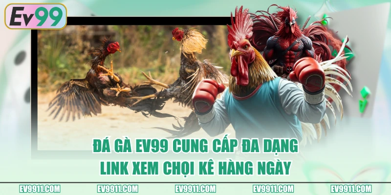 Đá Gà EV99 cung cấp đa dạng link xem chọi kê hàng ngày