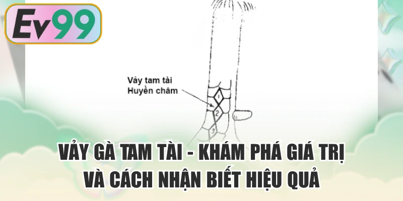 Vảy Gà Tam Tài - Khám Phá Giá Trị Và Cách Nhận Biết Hiệu Quả